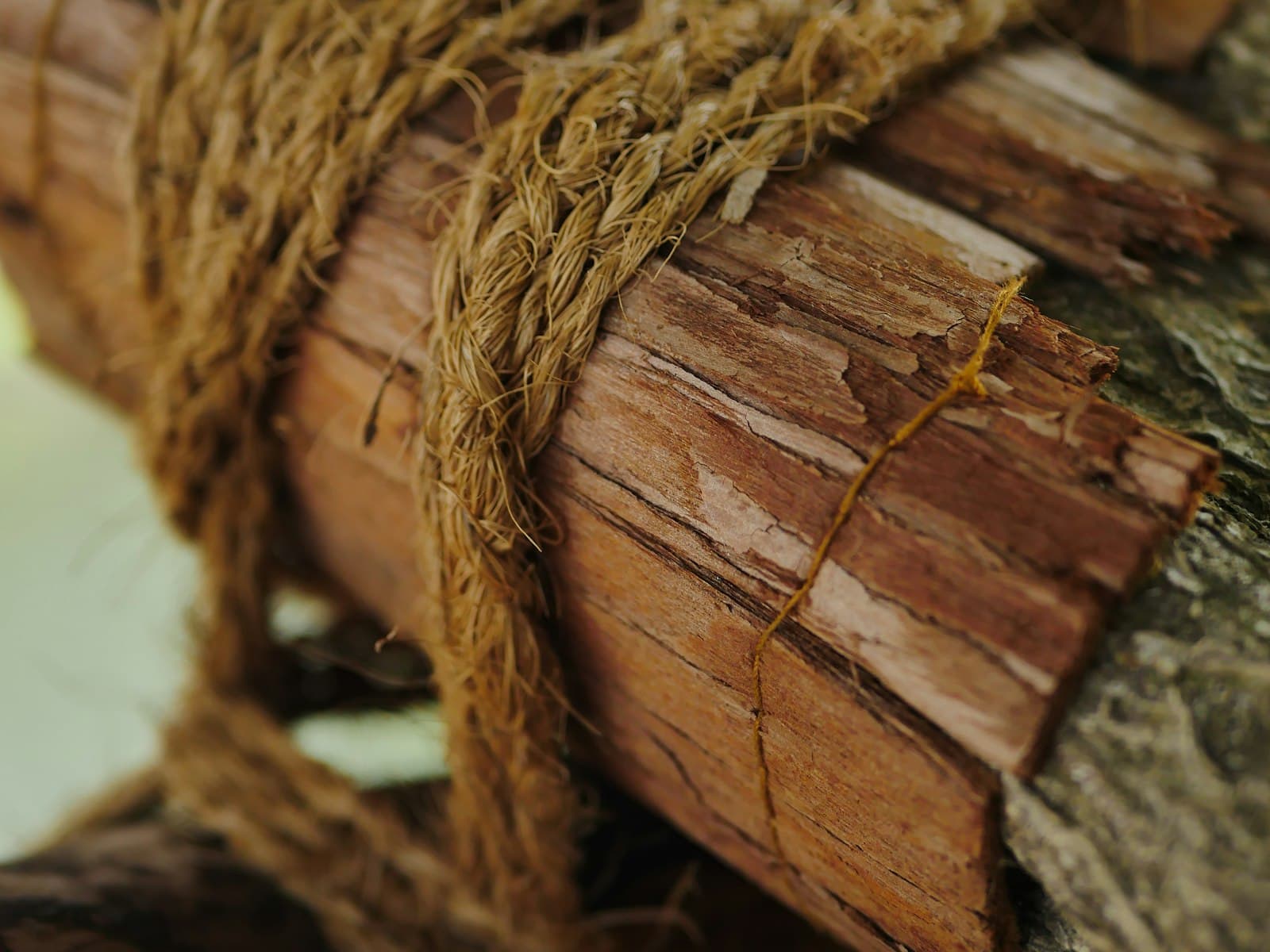 Natural fibre twine bound tightly around a bundle of raw plant stems